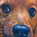 Tattoos - Jake's Pup Portrait Tattoo - 62780